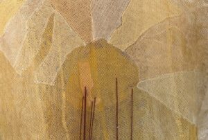 Cartographie à base d'éponges_Eléonore Labattut 